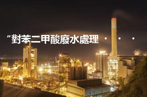 “對苯二甲酸廢水處理，綠色創(chuàng)新引領環(huán)保新篇章”